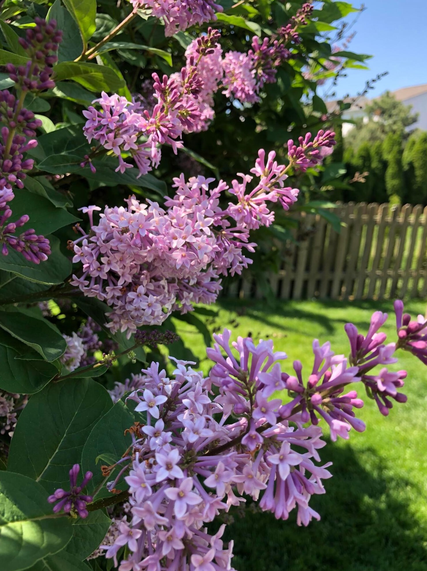 9226 Prestwick Grn Dr, Columbus OH 43240-2137 exterior