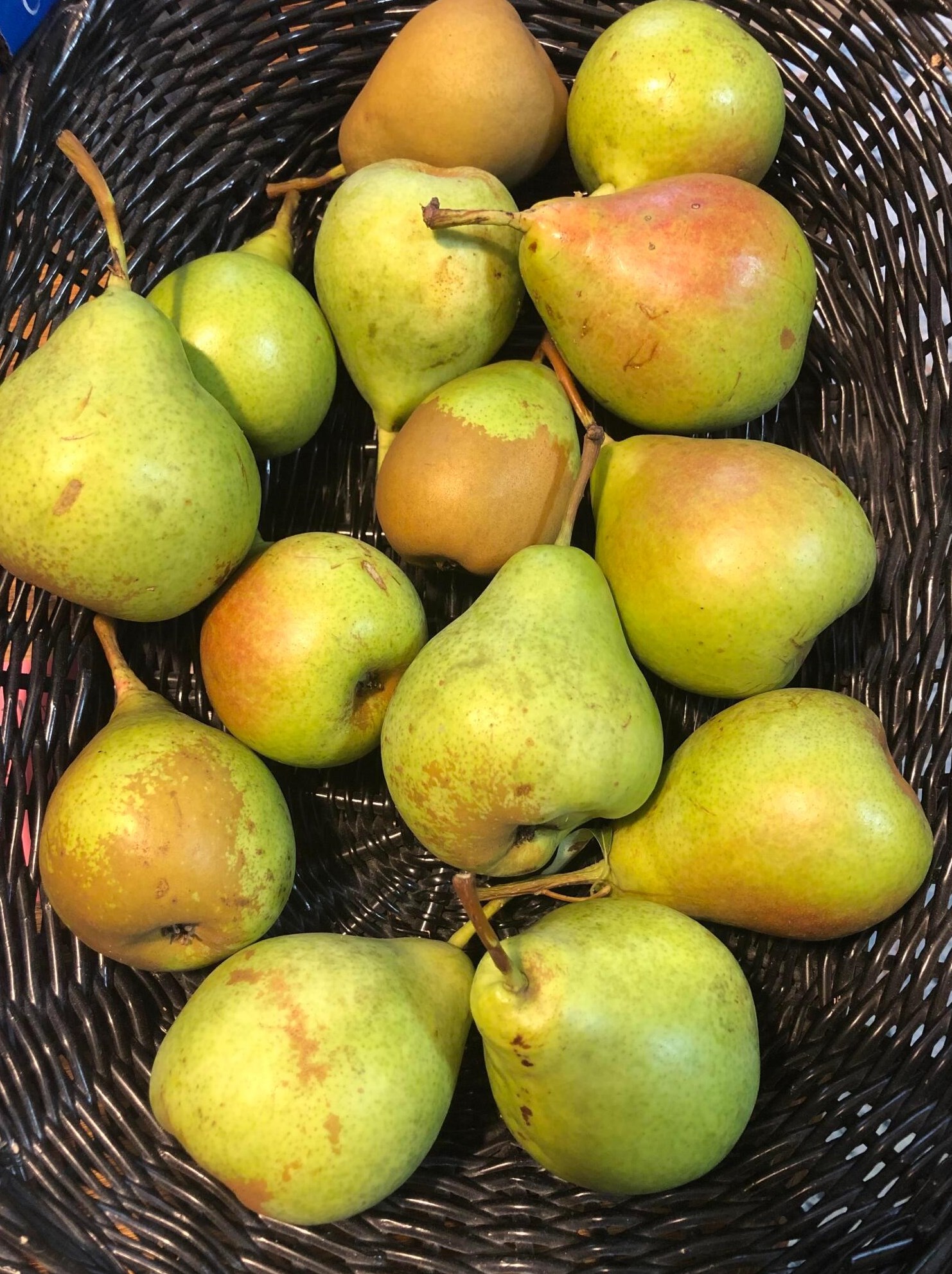 9226 Prestwick Grn Dr, Columbus OH 43240-2137 exterior