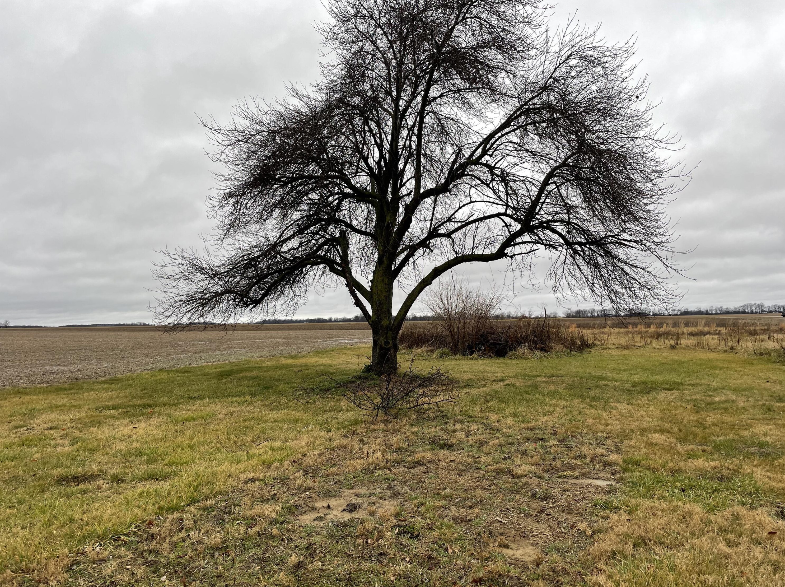 7319 Old Us 35, Washington Ch OH  43160-9215 exterior