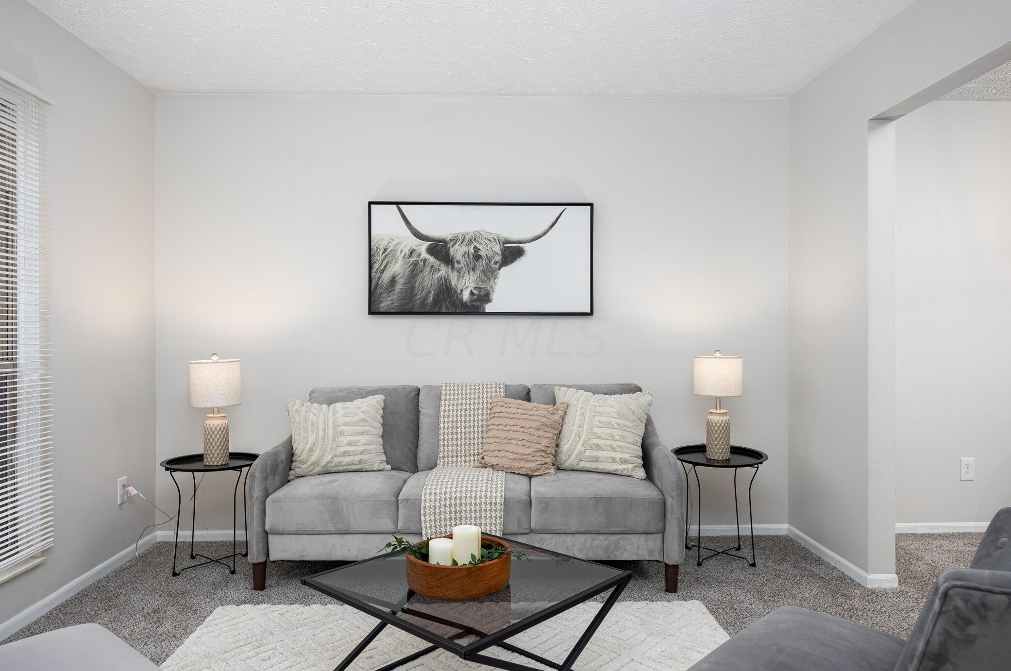 3200 Southern Hills Dr, Pickerington OH  43147-8652 exterior