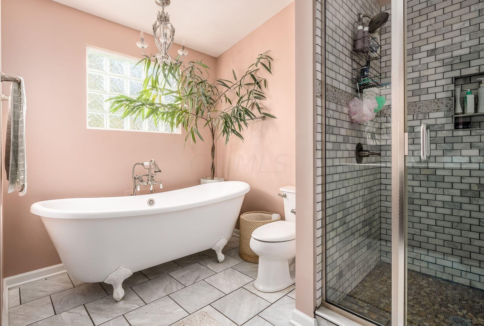 1625 Essex Rd, Columbus OH 43221-3842 exterior