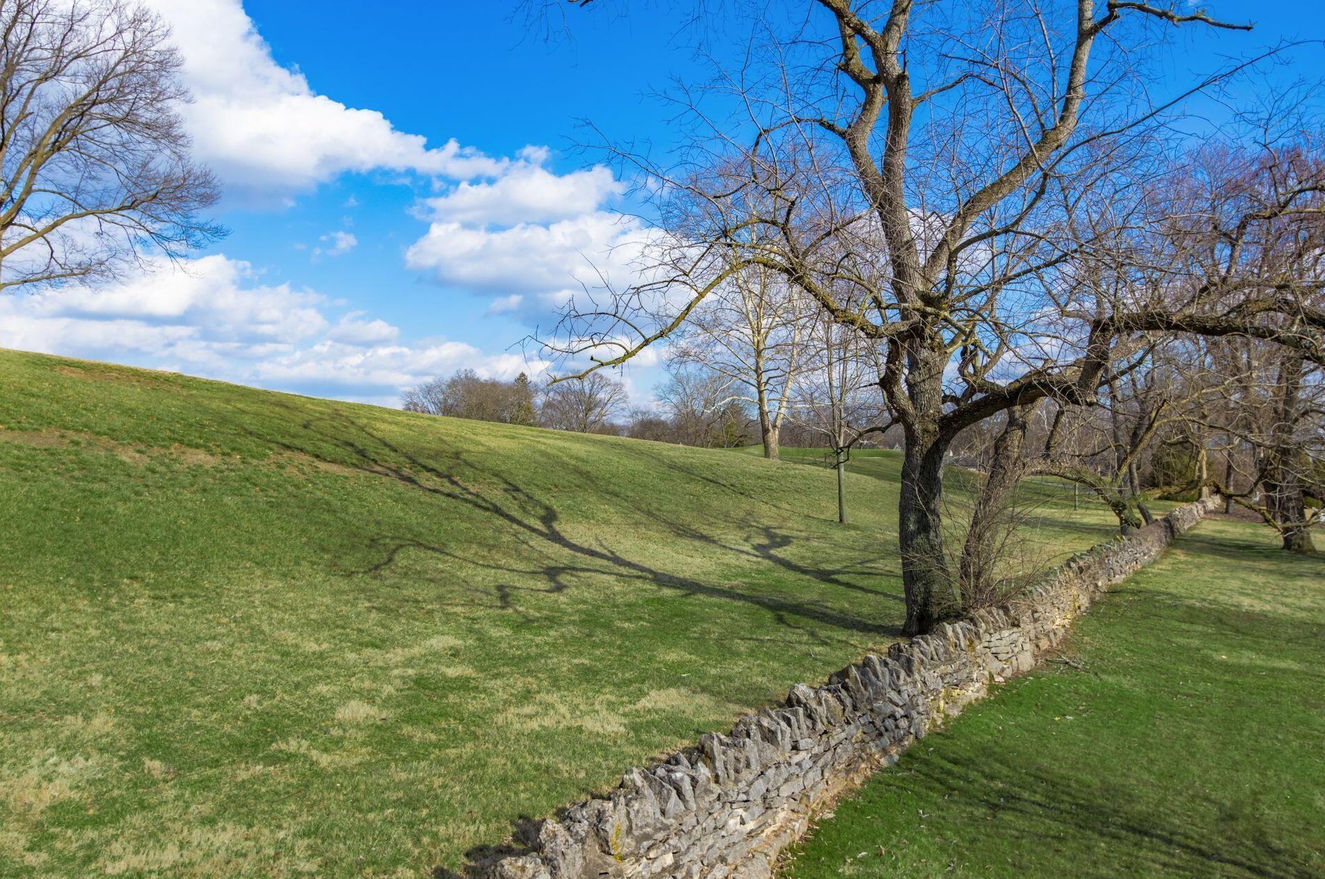 2453 Cambridge Blvd, Columbus OH  43221-4023 exterior