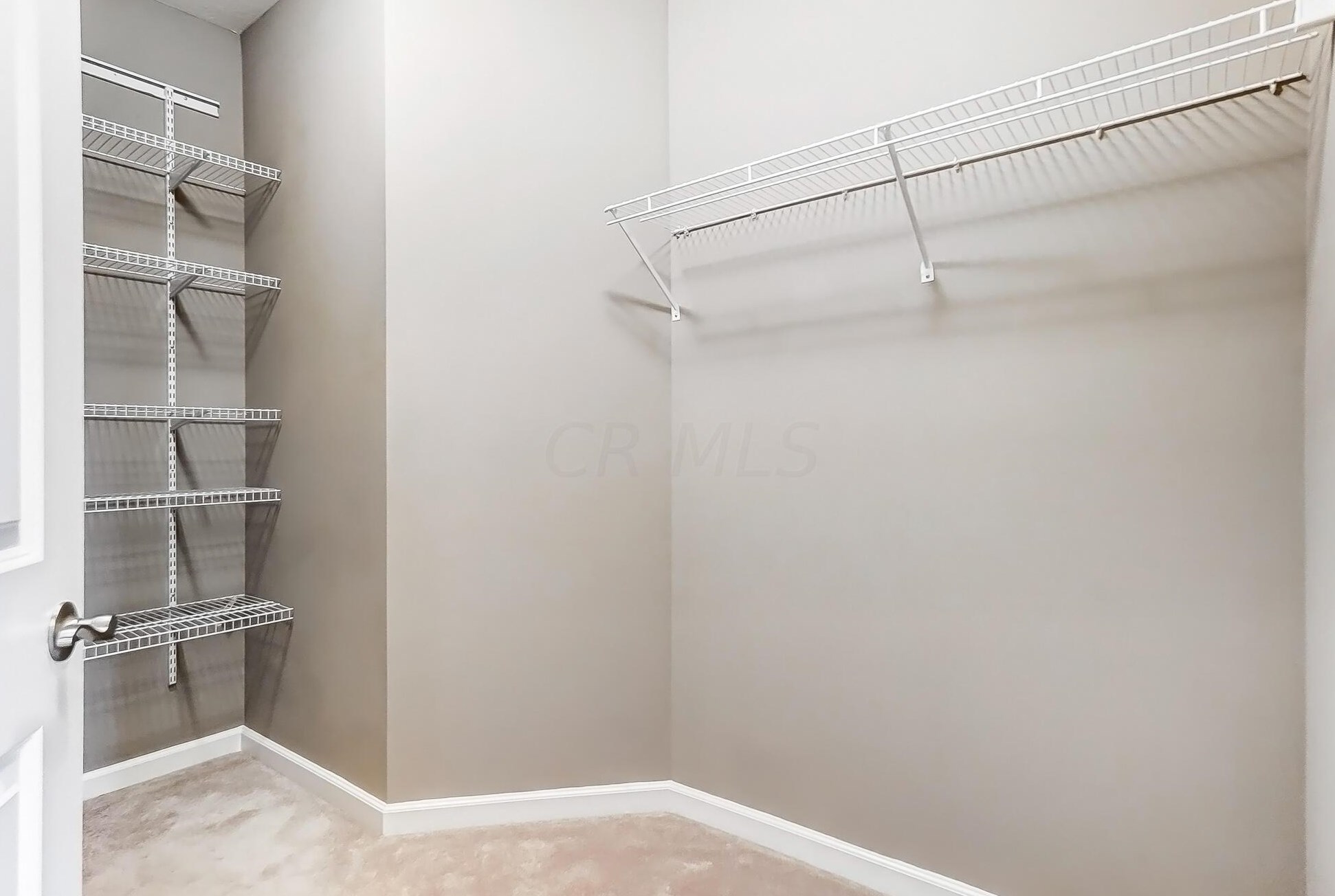 5193 Avery Oak Dr, Dublin OH  43016-7357 exterior