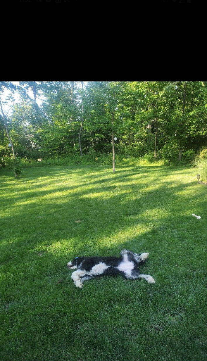 498 Helmbright Dr, Columbus OH  43230-4396 exterior