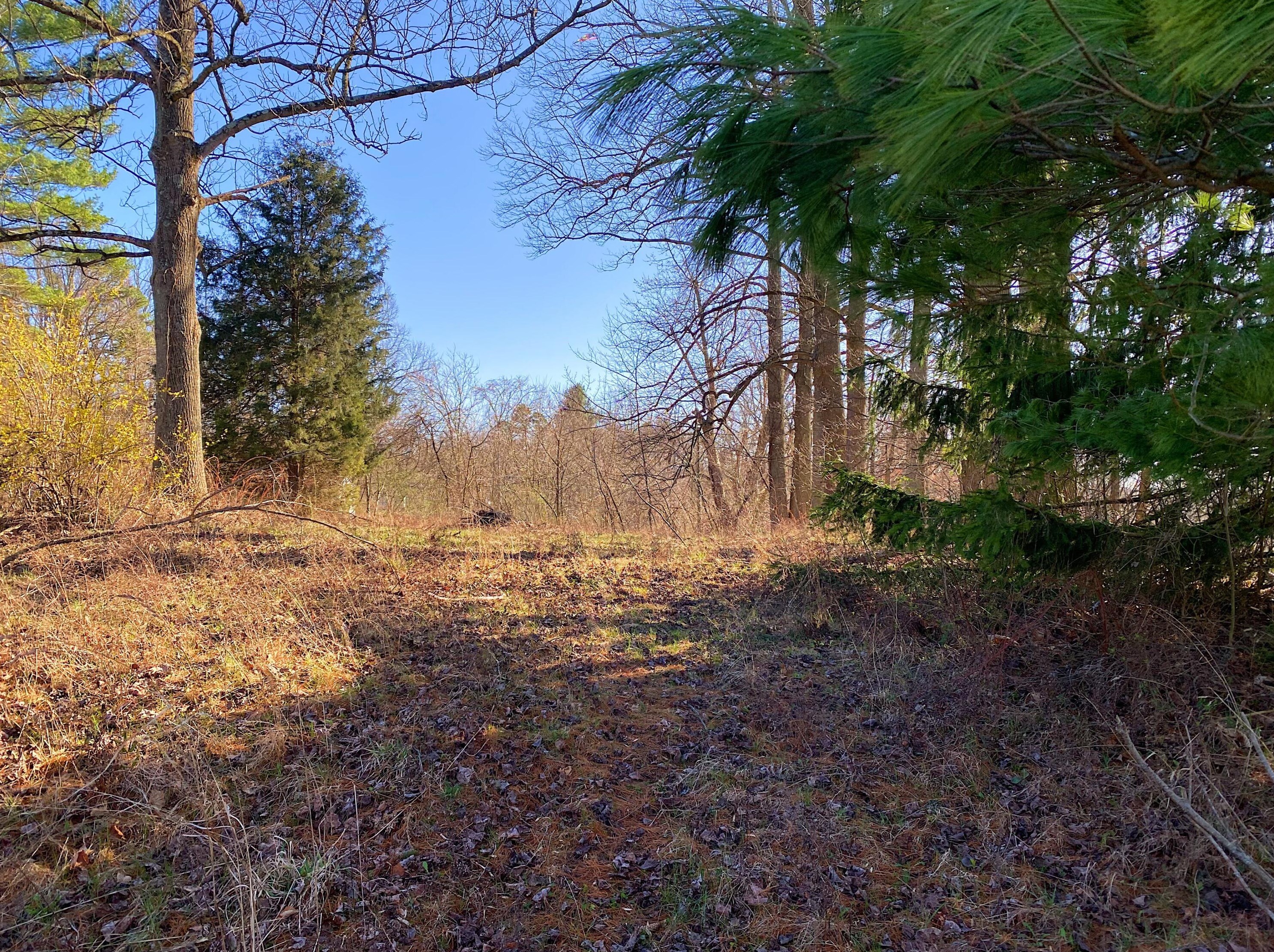 9948 Salem Hollow Rd, New Straitsville OH  43766-9739 exterior