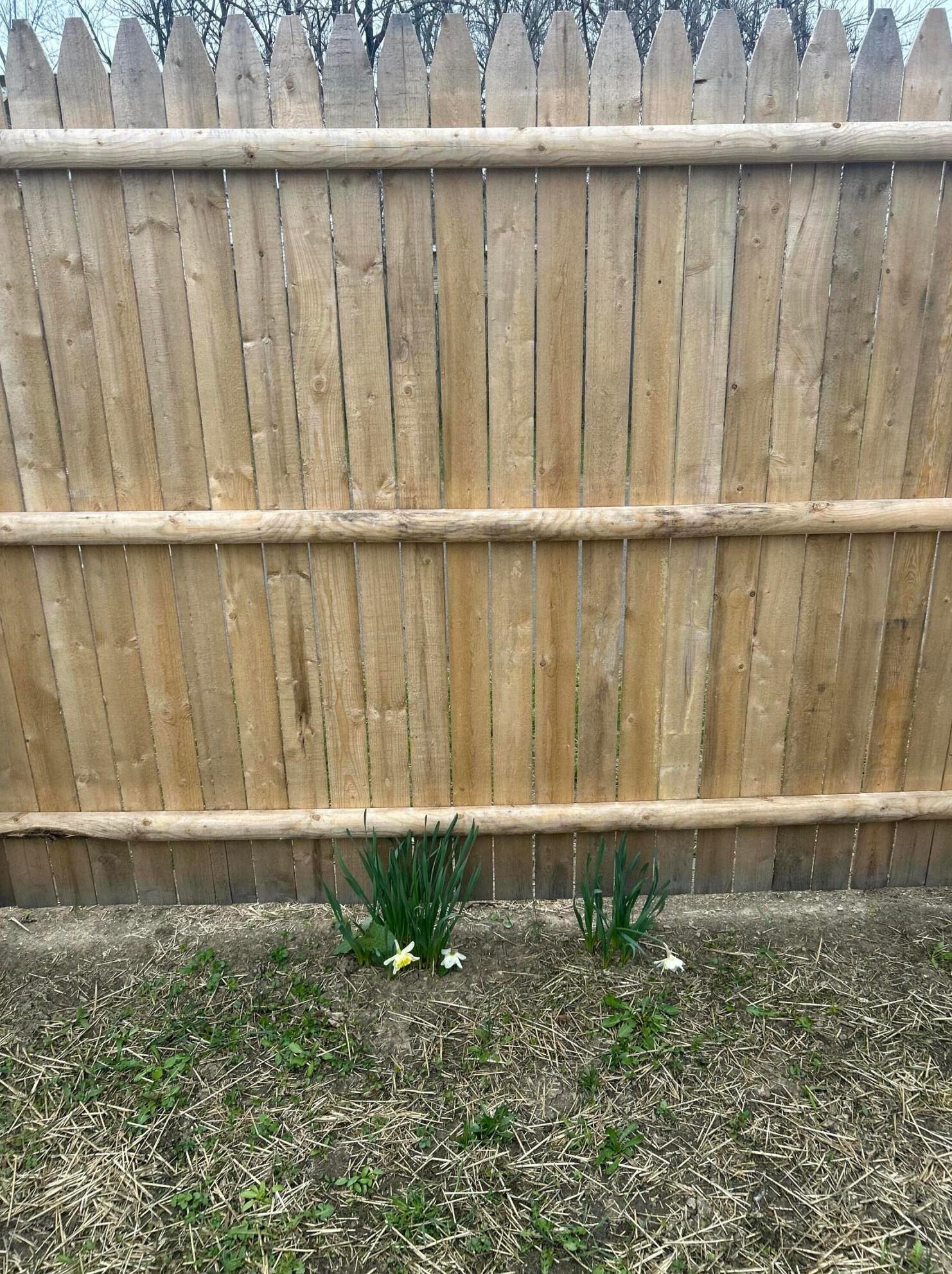 143 Oakley Ave, Columbus OH 43204-3216 exterior