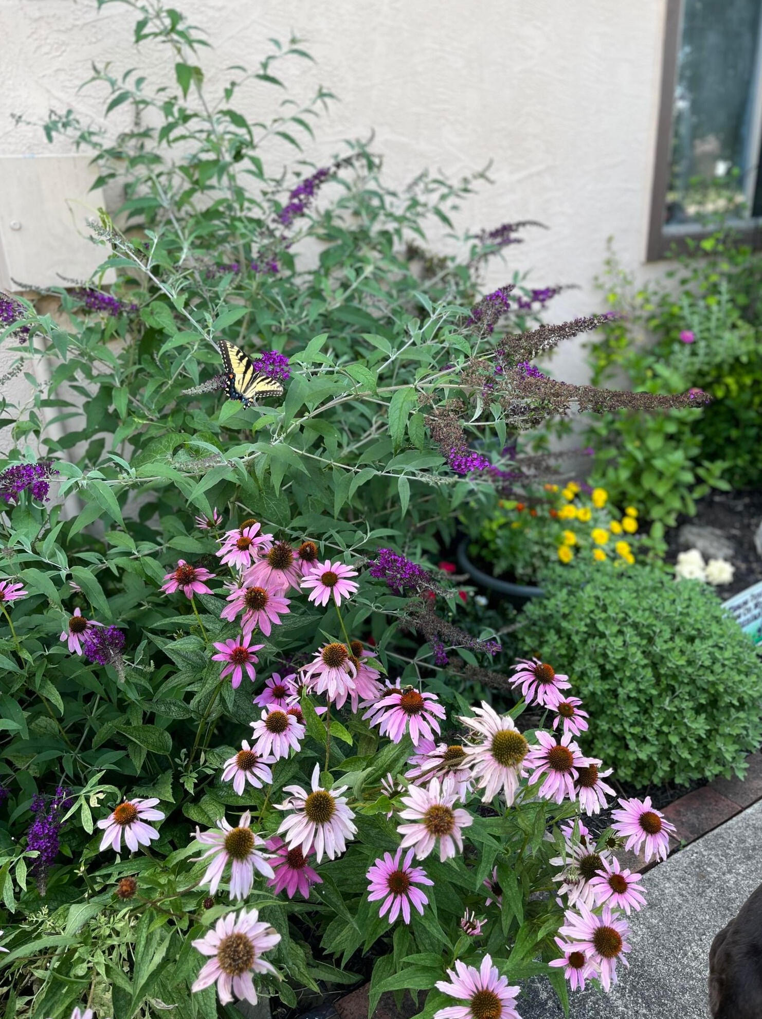 6283 Billington Dr, Columbus OH 43213-3479 exterior