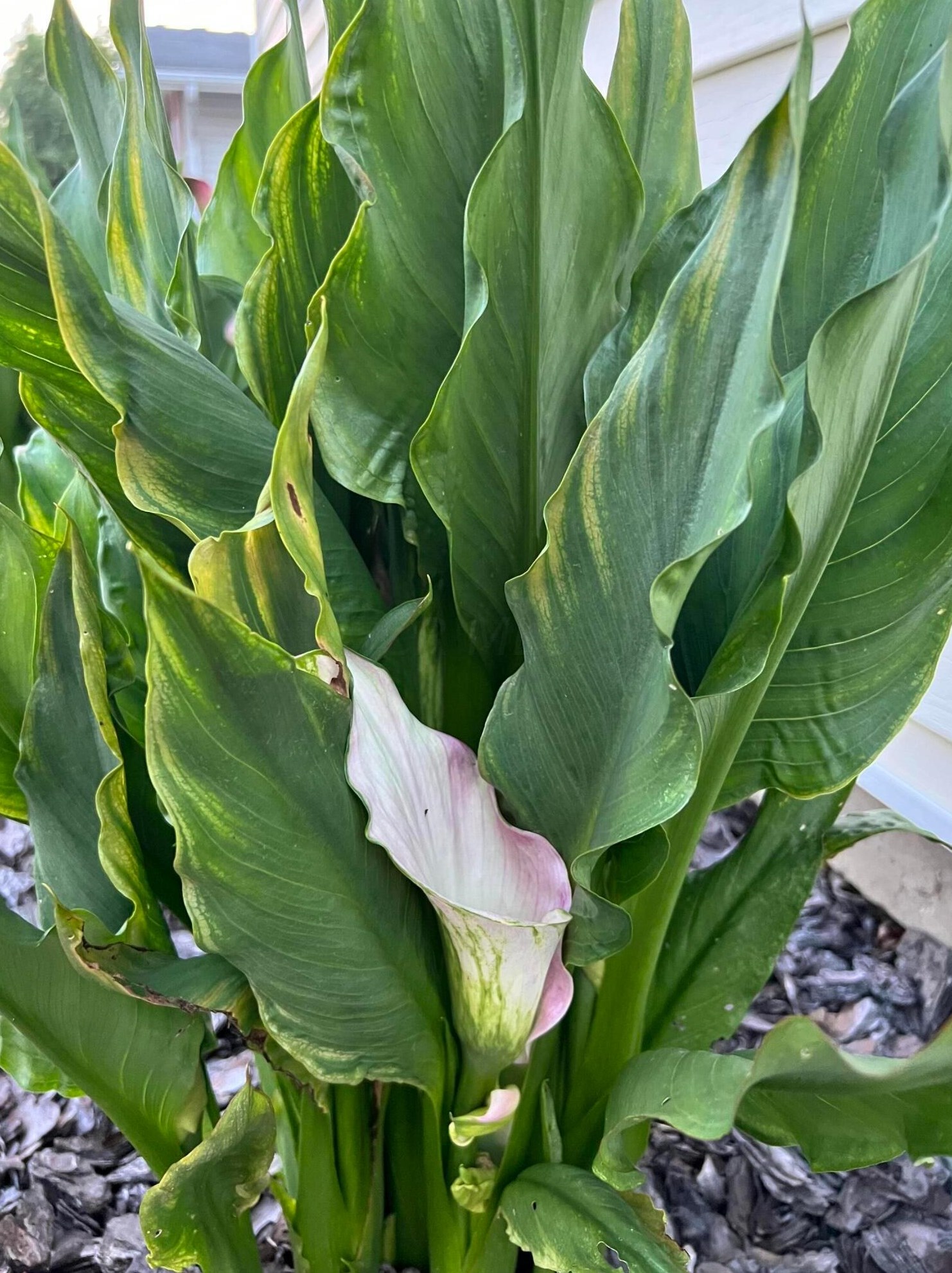 4066 Etna St, Columbus OH 43213-2382 exterior