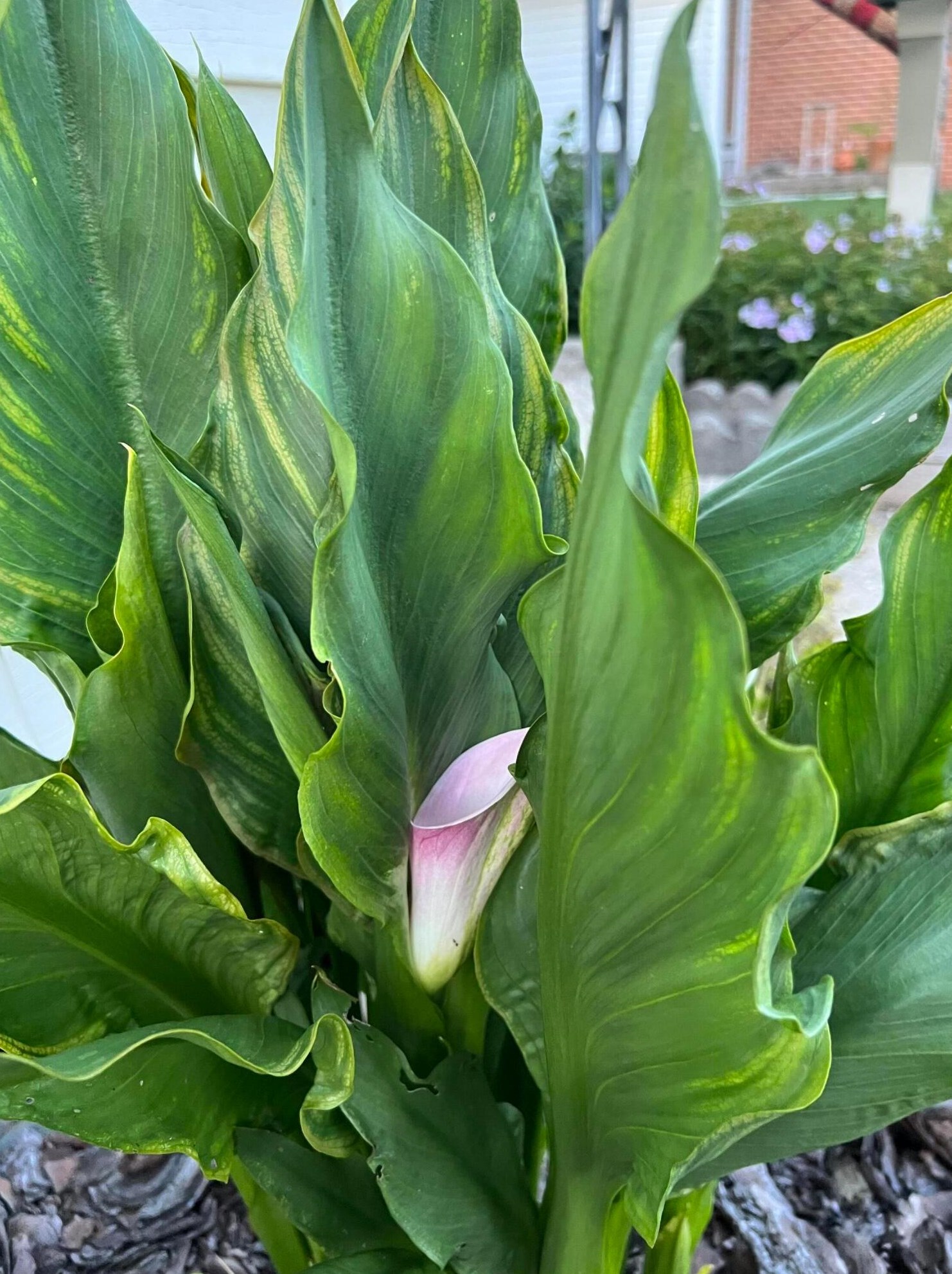 4066 Etna St, Columbus OH 43213-2382 exterior