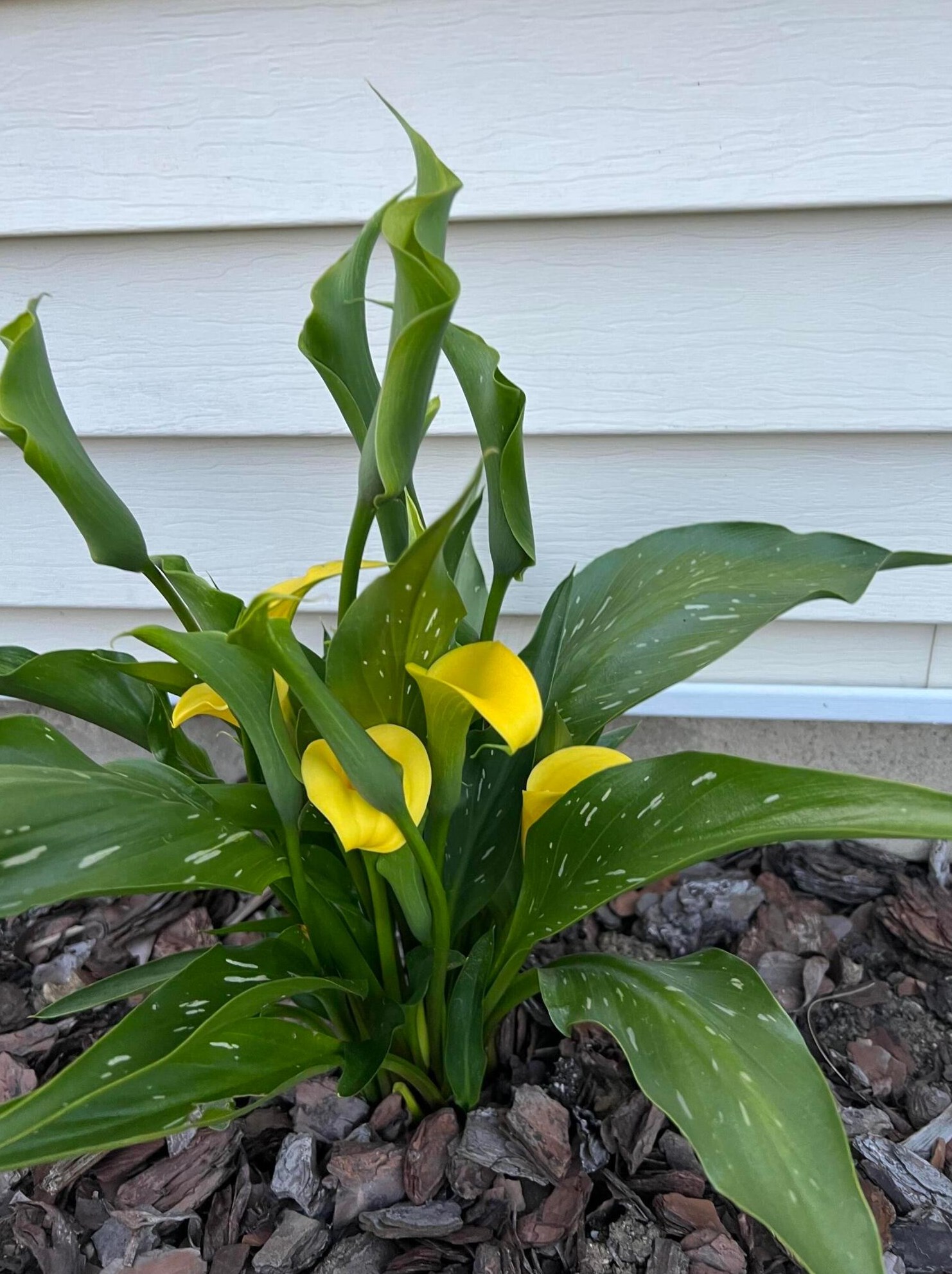 4066 Etna St, Columbus OH 43213-2382 exterior