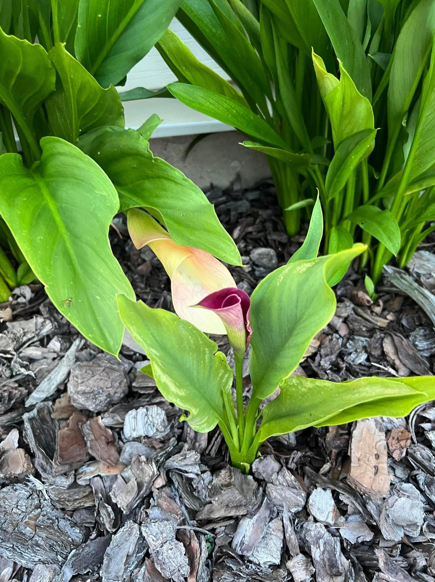 4066 Etna St, Columbus OH 43213-2382 exterior