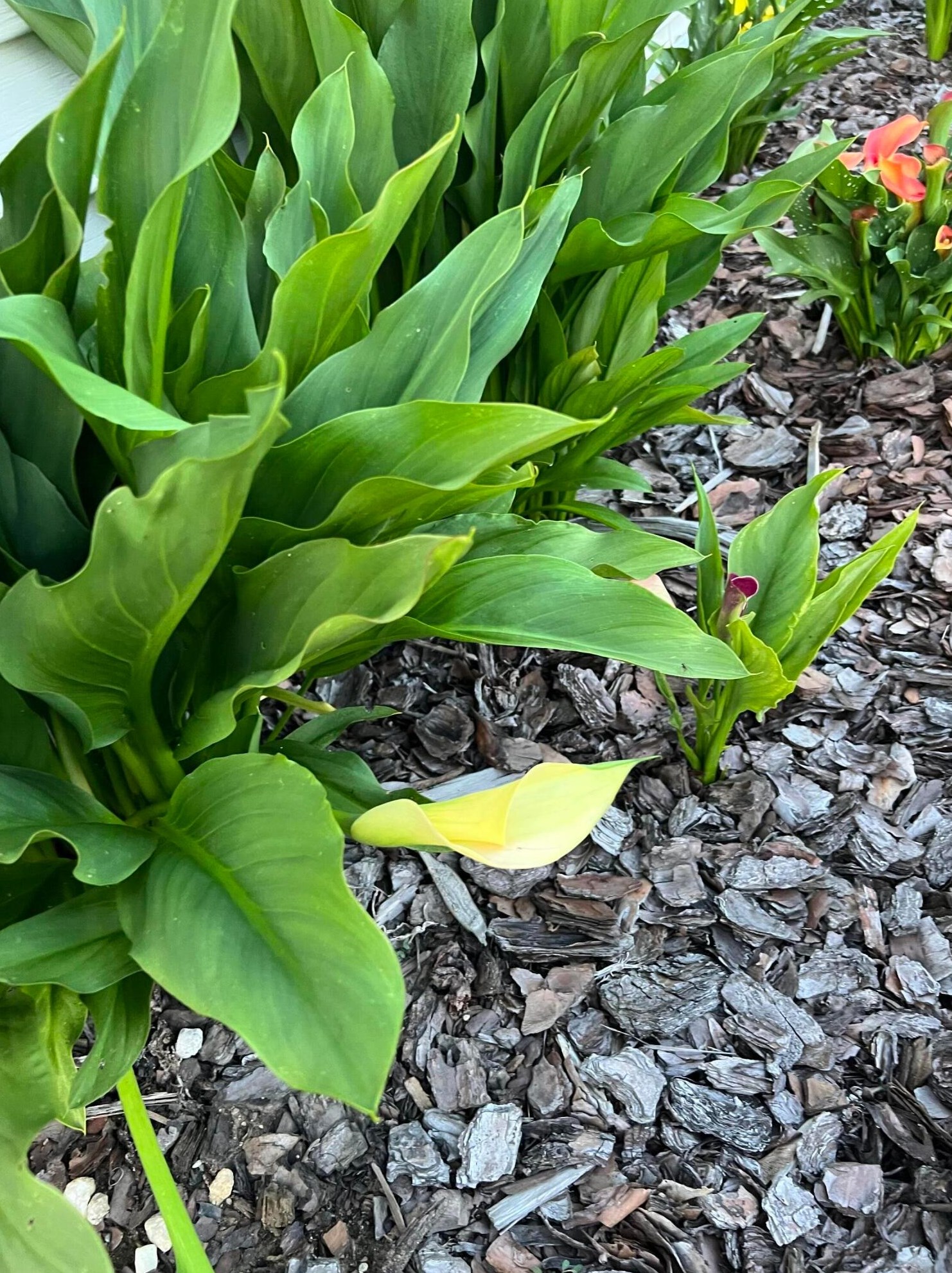 4066 Etna St, Columbus OH 43213-2382 exterior