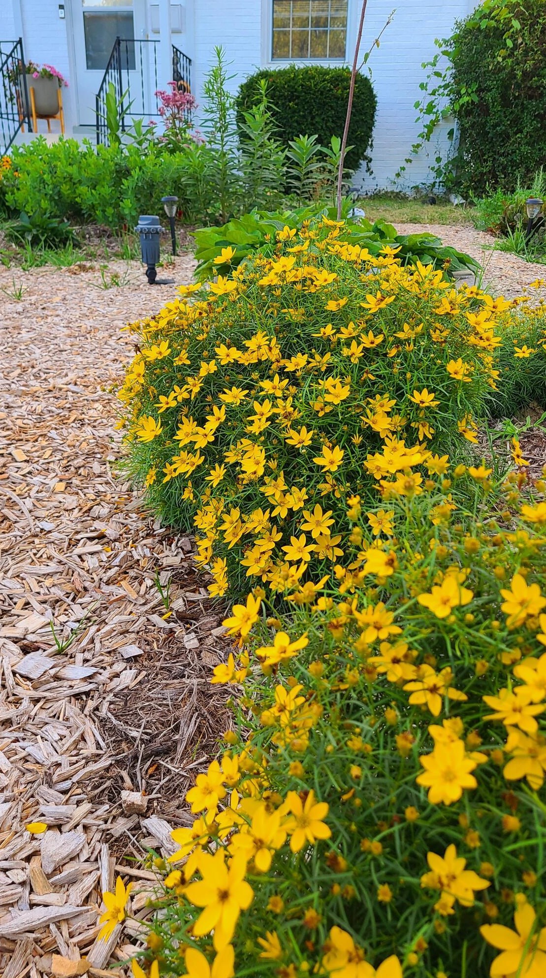 143 Mayfair Blvd, Columbus OH  43213-1610 exterior