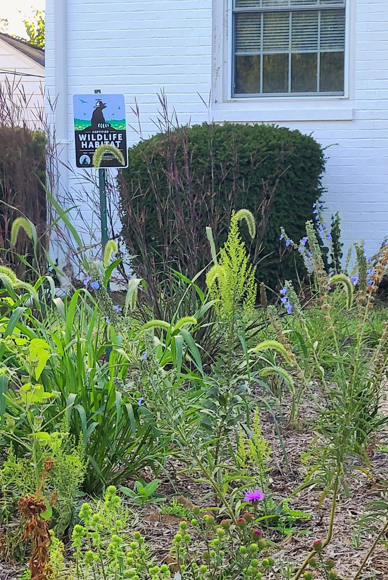 143 Mayfair Blvd, Columbus OH  43213-1610 exterior