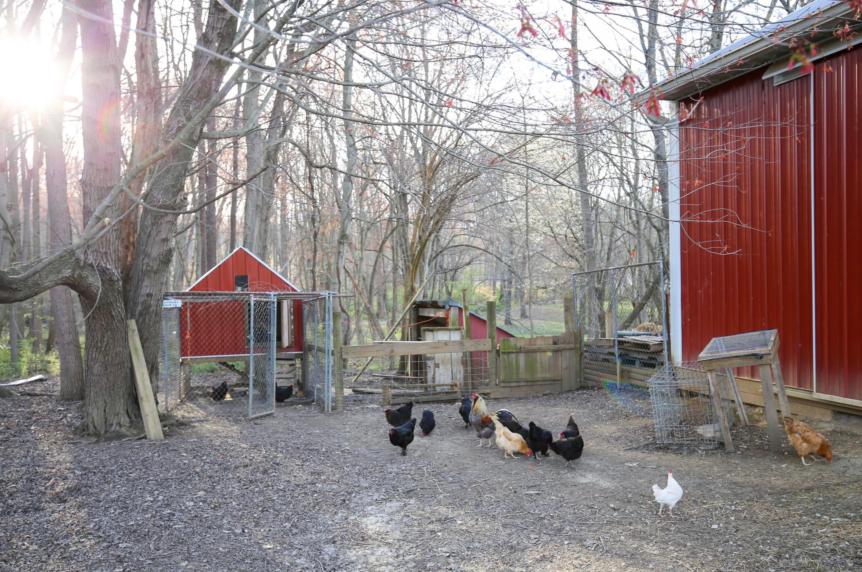 562 Stump Holw Rd, Lancaster OH 43130-9036 exterior