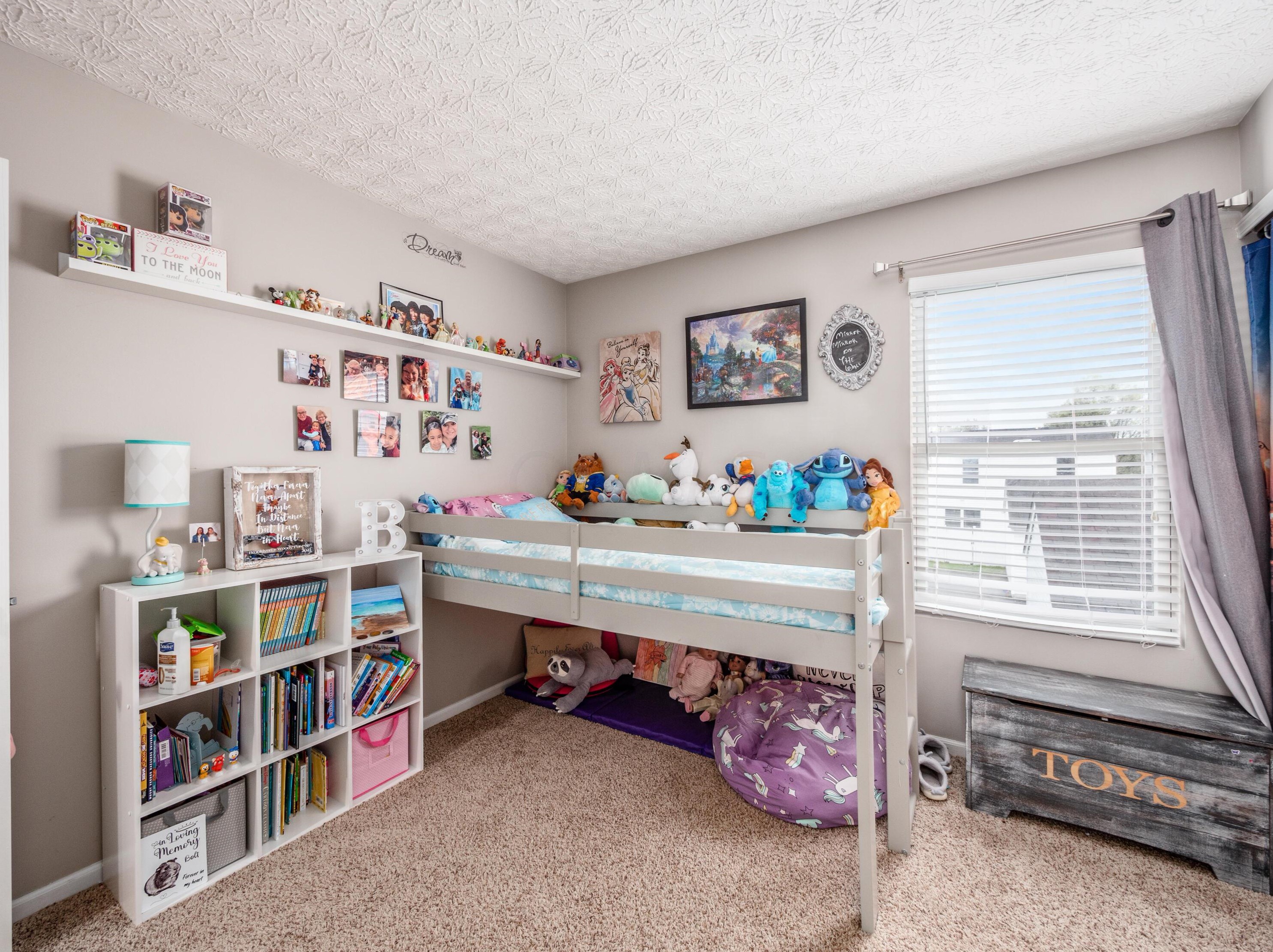 9138 Drum Pl, Orient OH  43146-9080 exterior