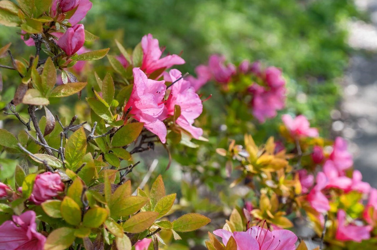 188 Maynard Ave, Columbus OH  43202-3057 exterior