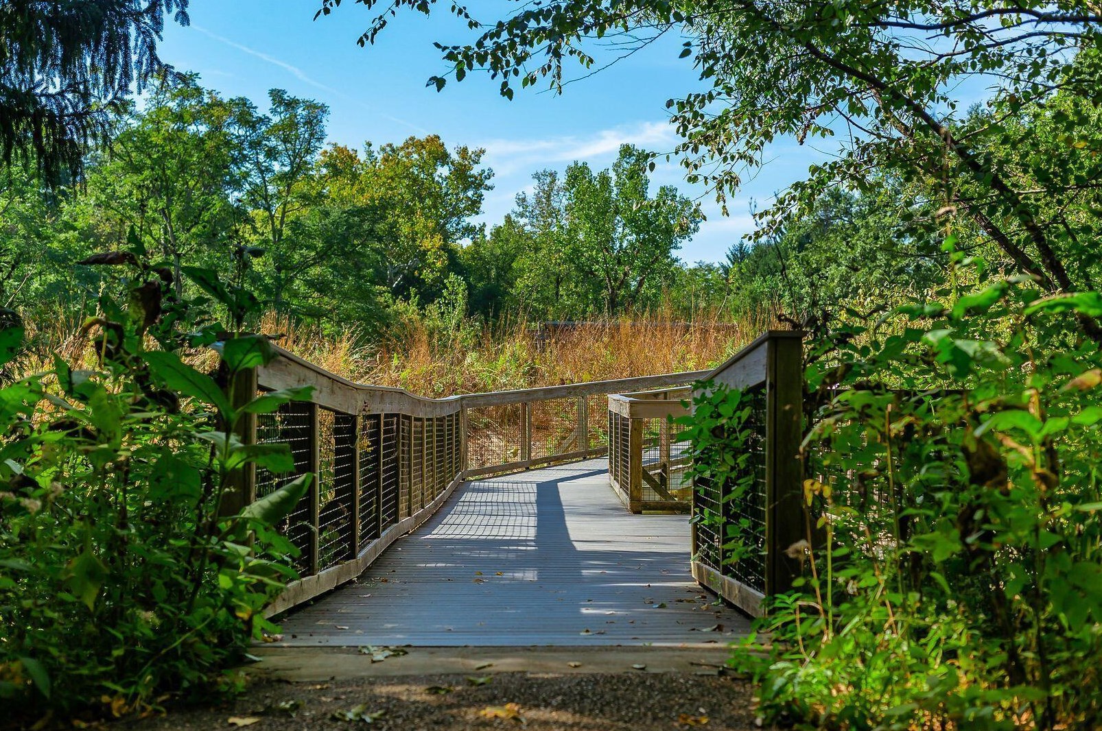 438 Mainsail Dr, Westerville OH  43081-2745 exterior