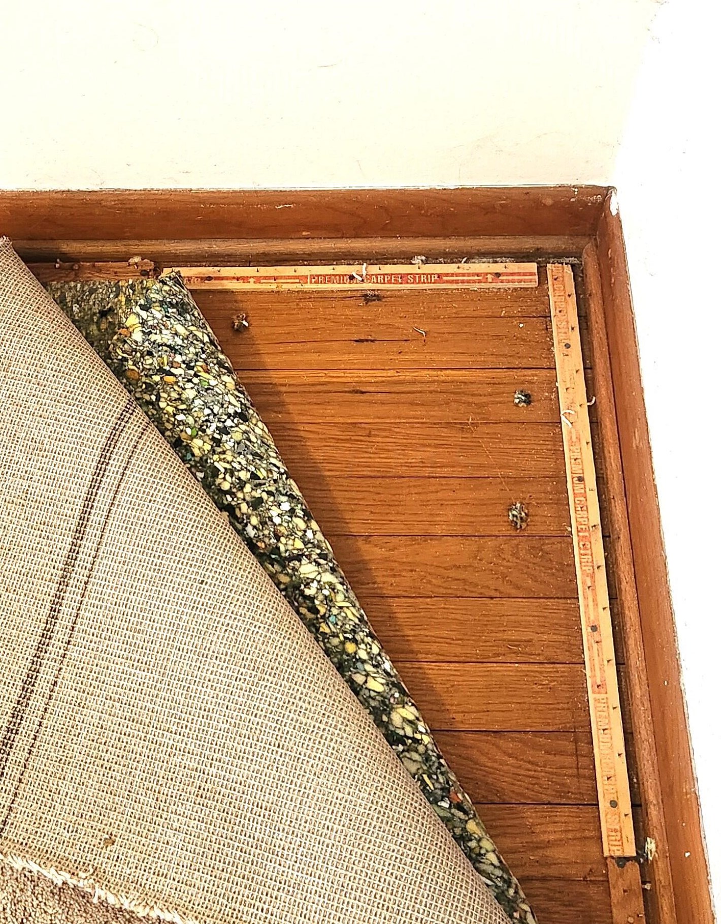 392 Mayflower Blvd, Columbus OH 43213-2366 exterior