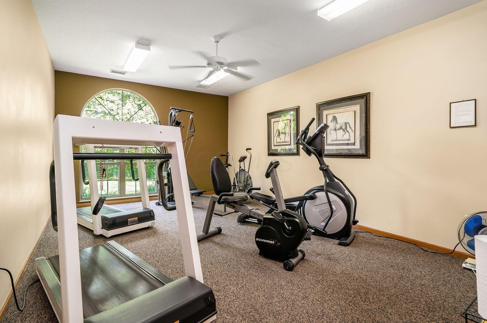 5551 Meadowood Ln, Westerville OH  43082-9463 exterior