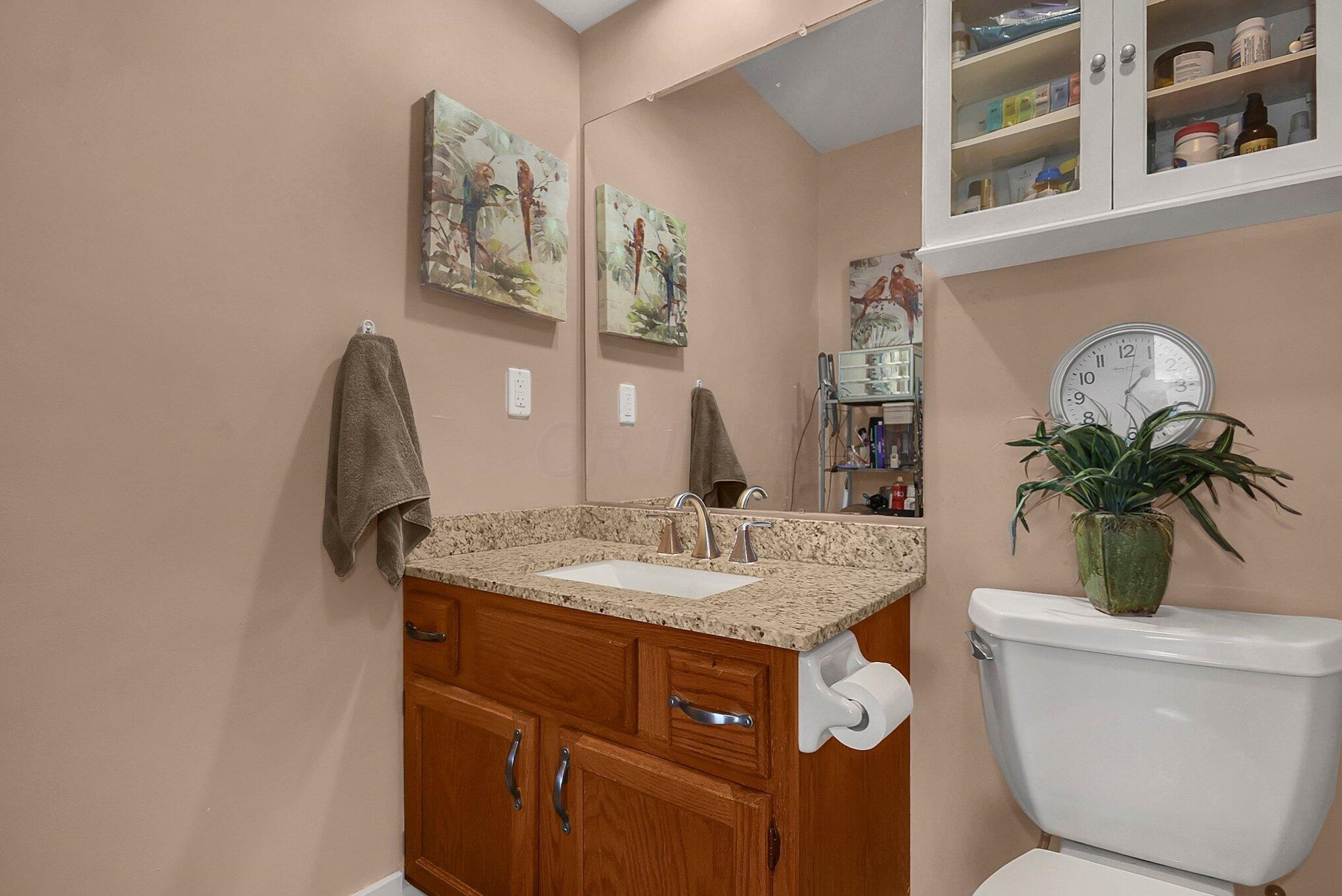 1263 Spring Brook Ct, Westerville OH  43081-3792 exterior