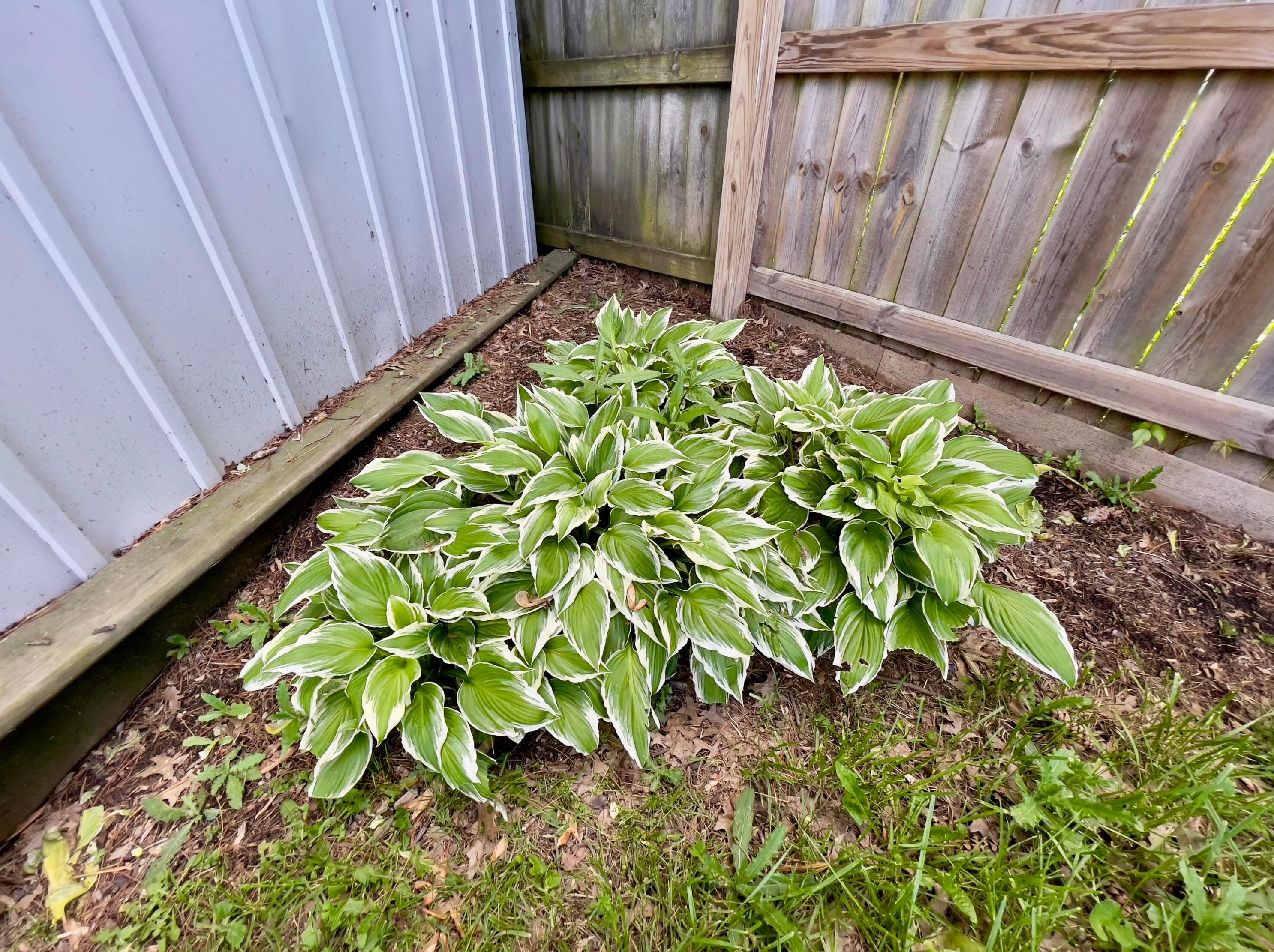 6287 Rosebay Ct, Westerville OH  43081-3719 exterior