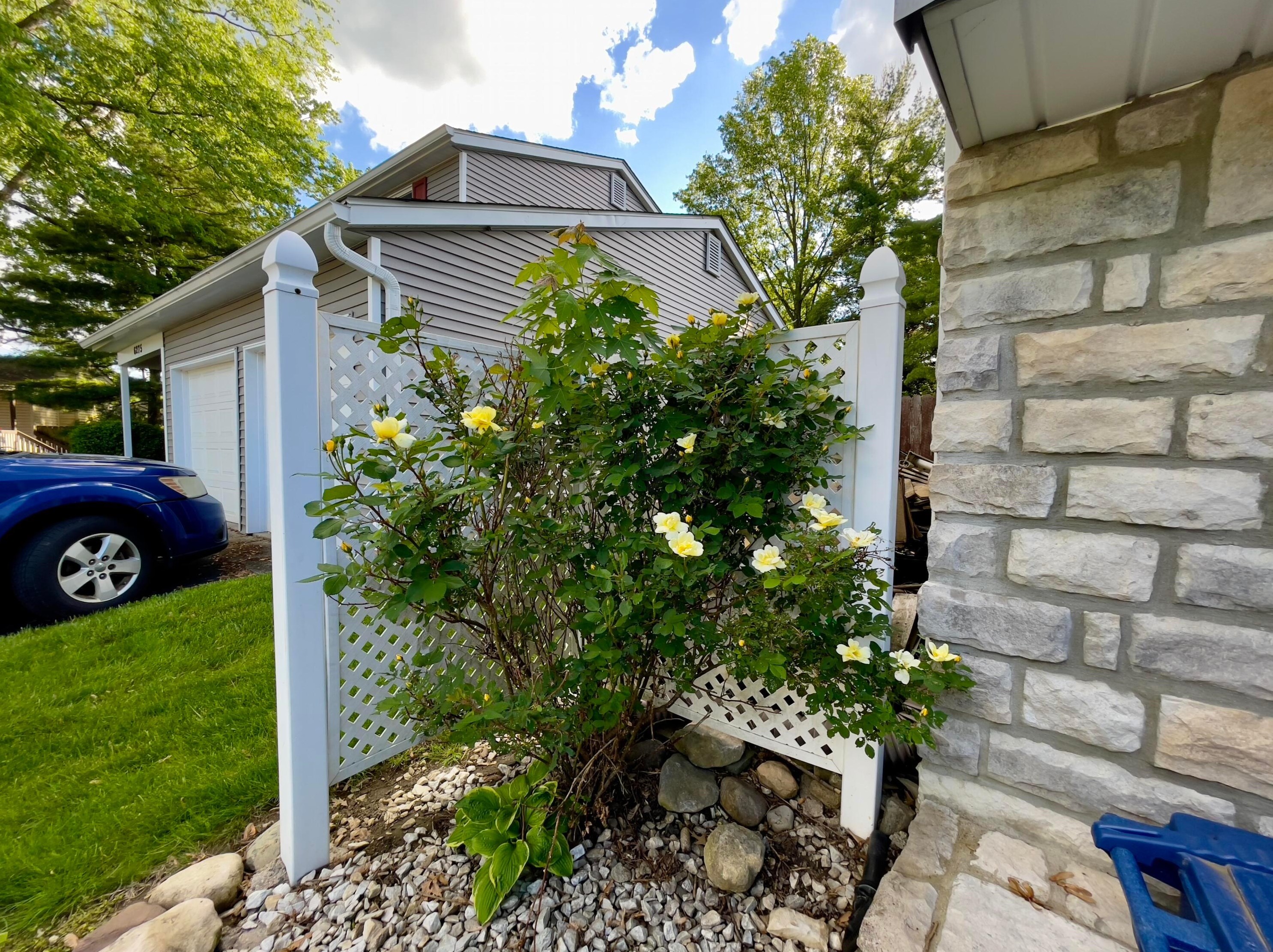 6287 Rosebay Ct, Westerville OH  43081-3719 exterior