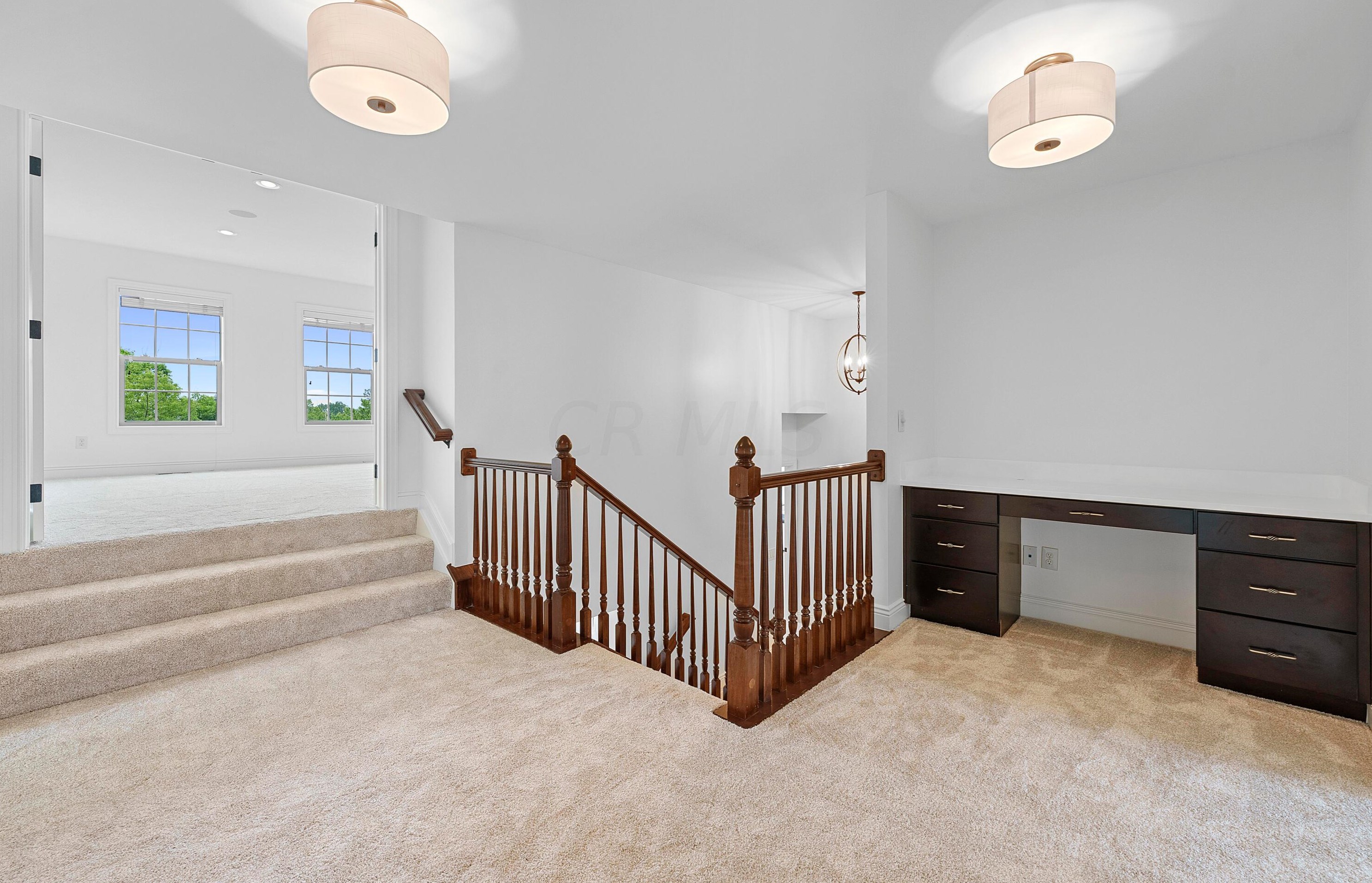 8127 Conine Dr, Dublin OH  exterior