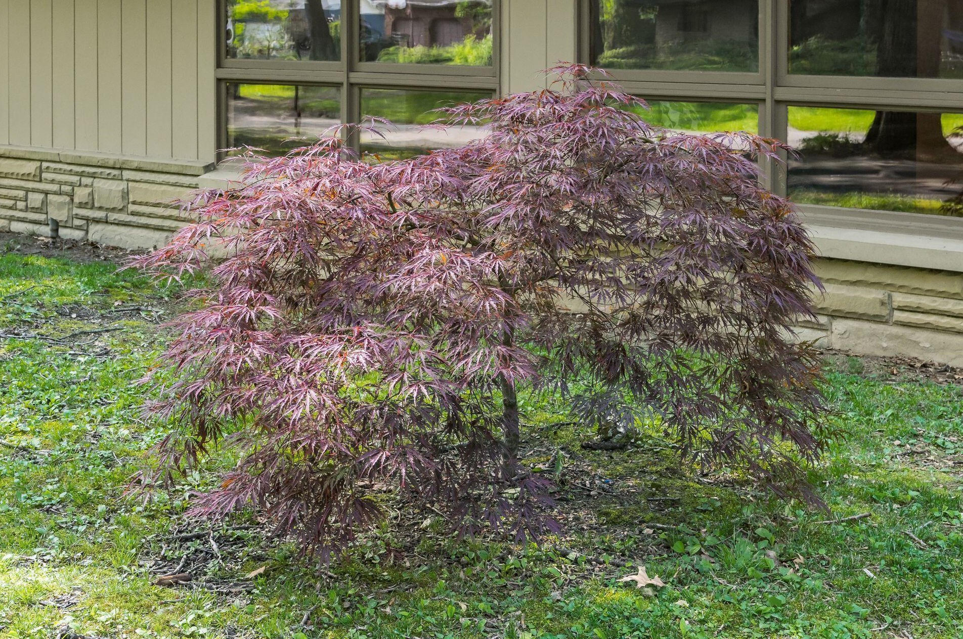 2660 Minerva Lake Rd, Columbus OH  43231-4870 exterior