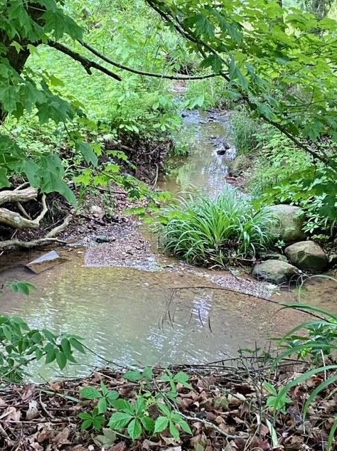 12935 Fridley Rd, Ashville OH  43103-9751 exterior