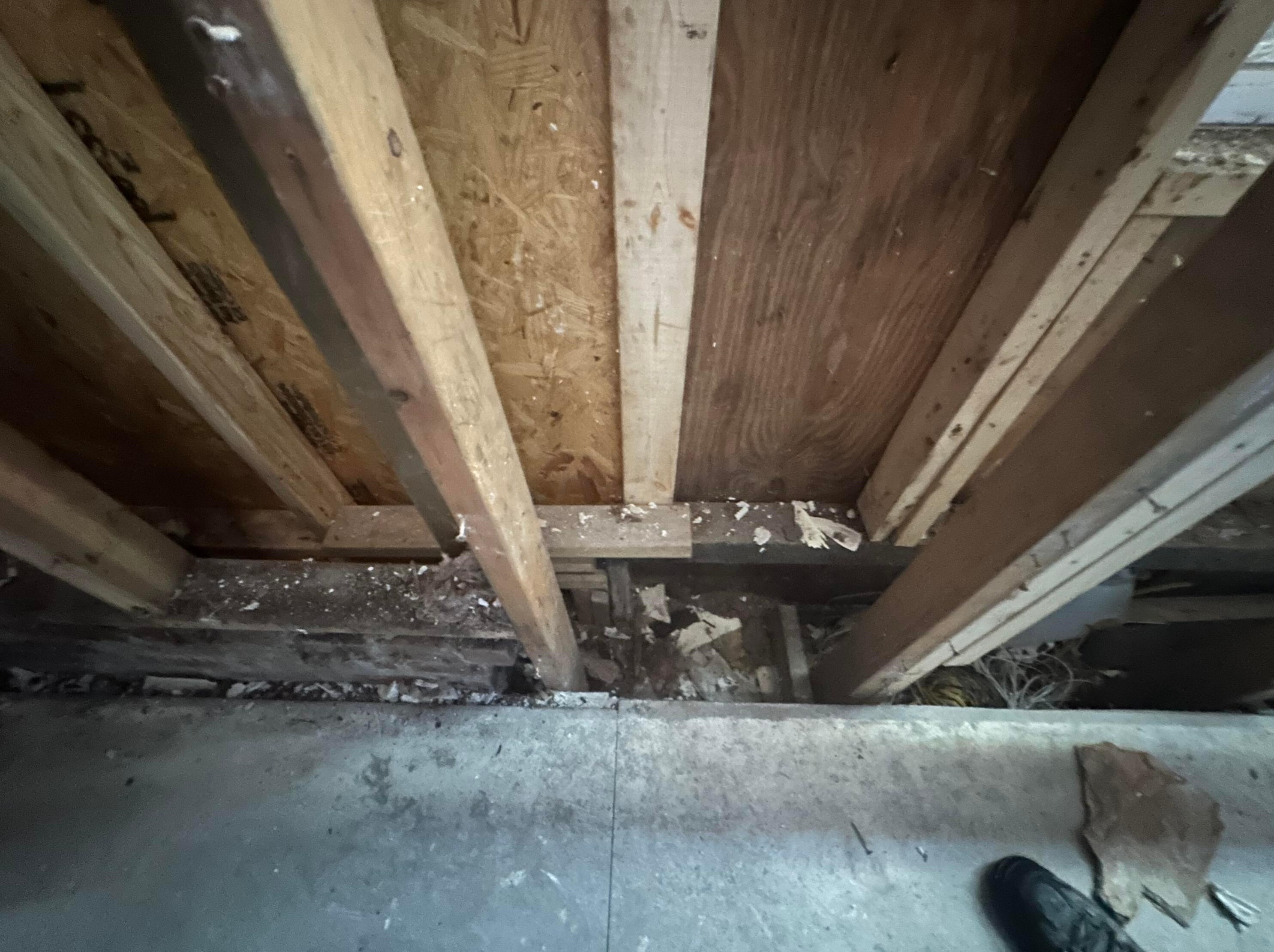 1250 Sycamore St, Columbus OH  43215-5618 exterior