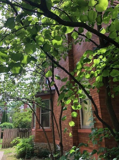 49 Oakland Ave, Columbus, OH 43201-1206