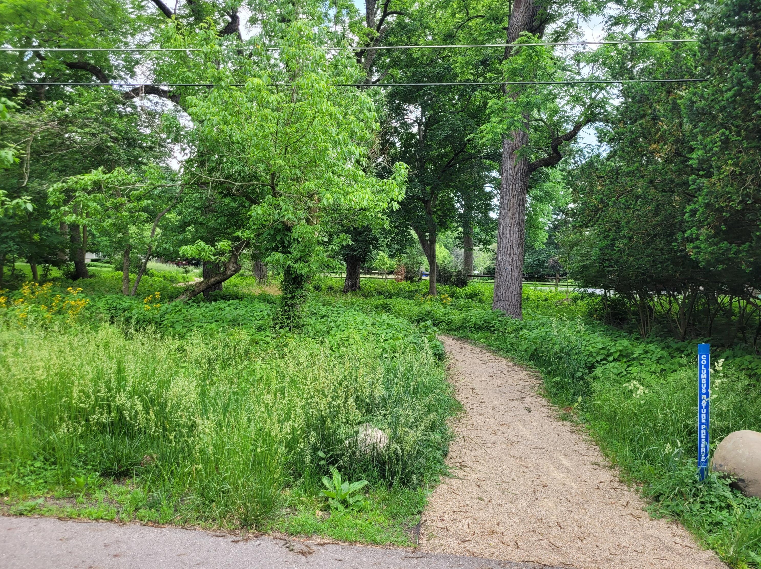 278 Rathbone Ave, Columbus OH 43214-1520 exterior