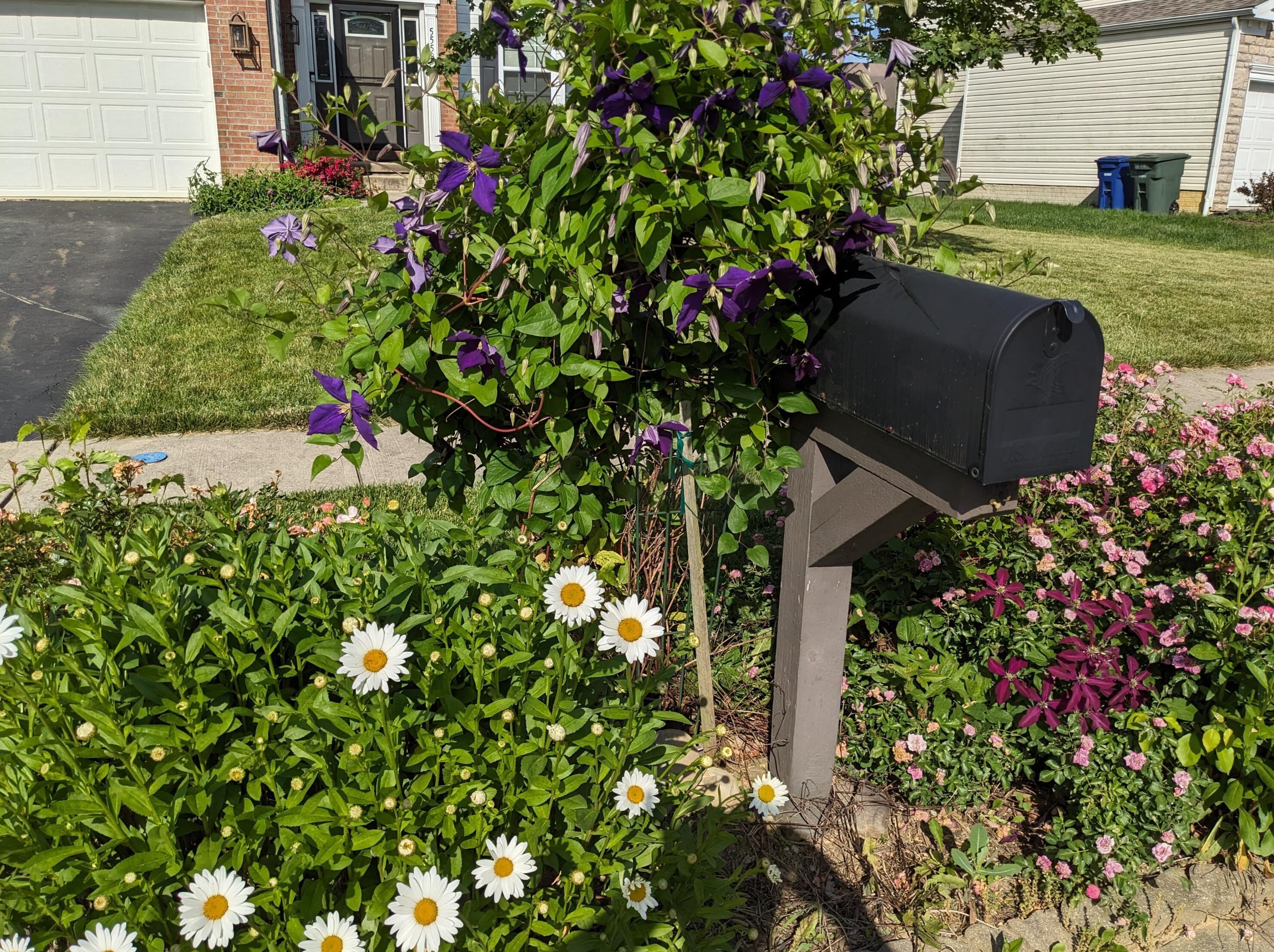 5558 Levi Kramer Blvd, Cnl Wnchstr, OH 43110-8327