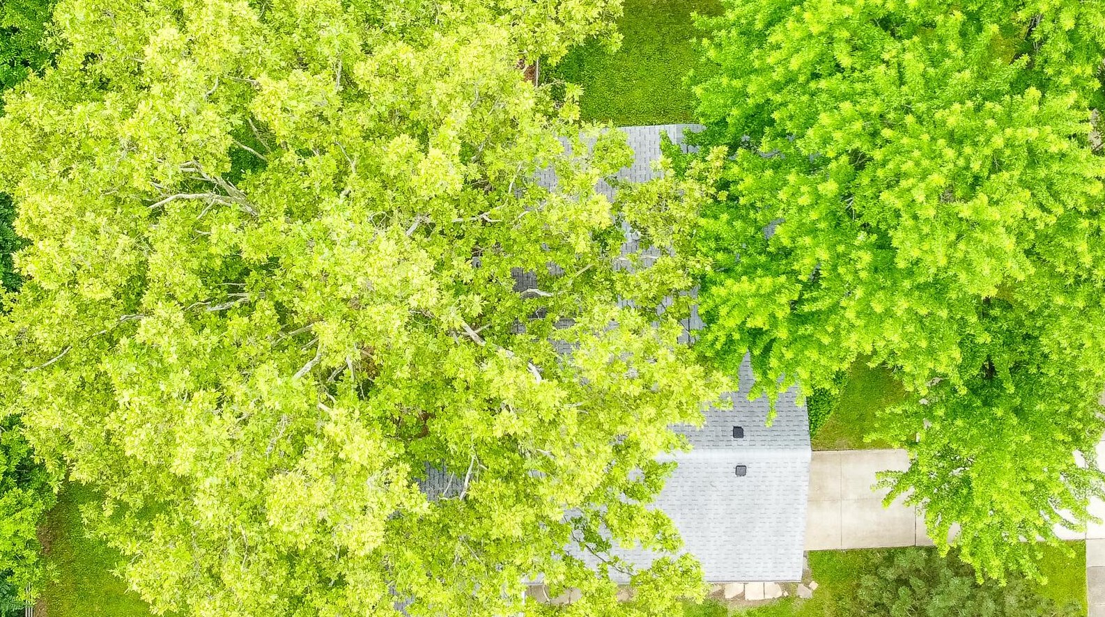 3041 Rightmire Blvd, Columbus OH 43221-1662 exterior