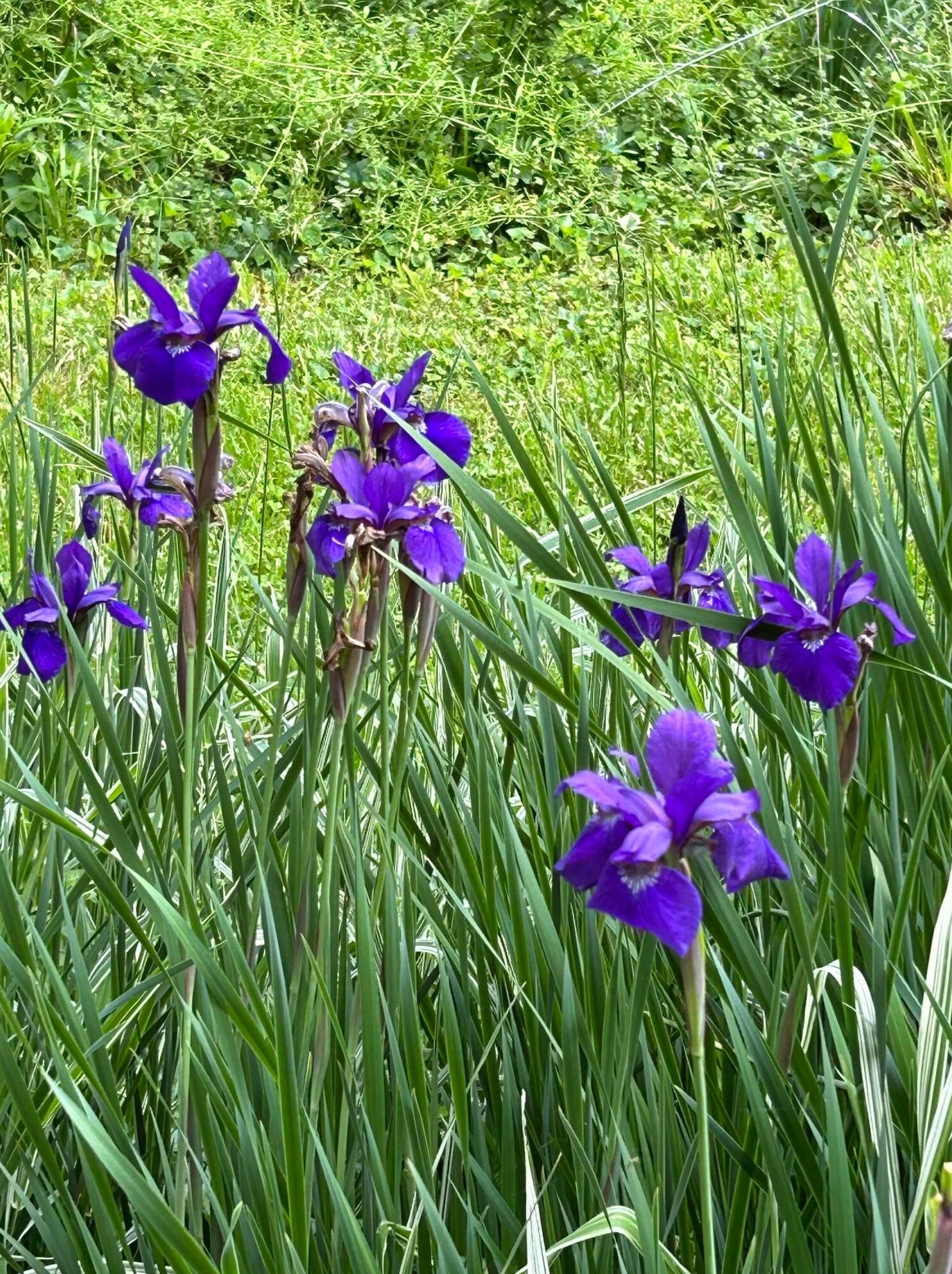 214 Dublin Granville Rd, Columbus OH 43085-3185 exterior