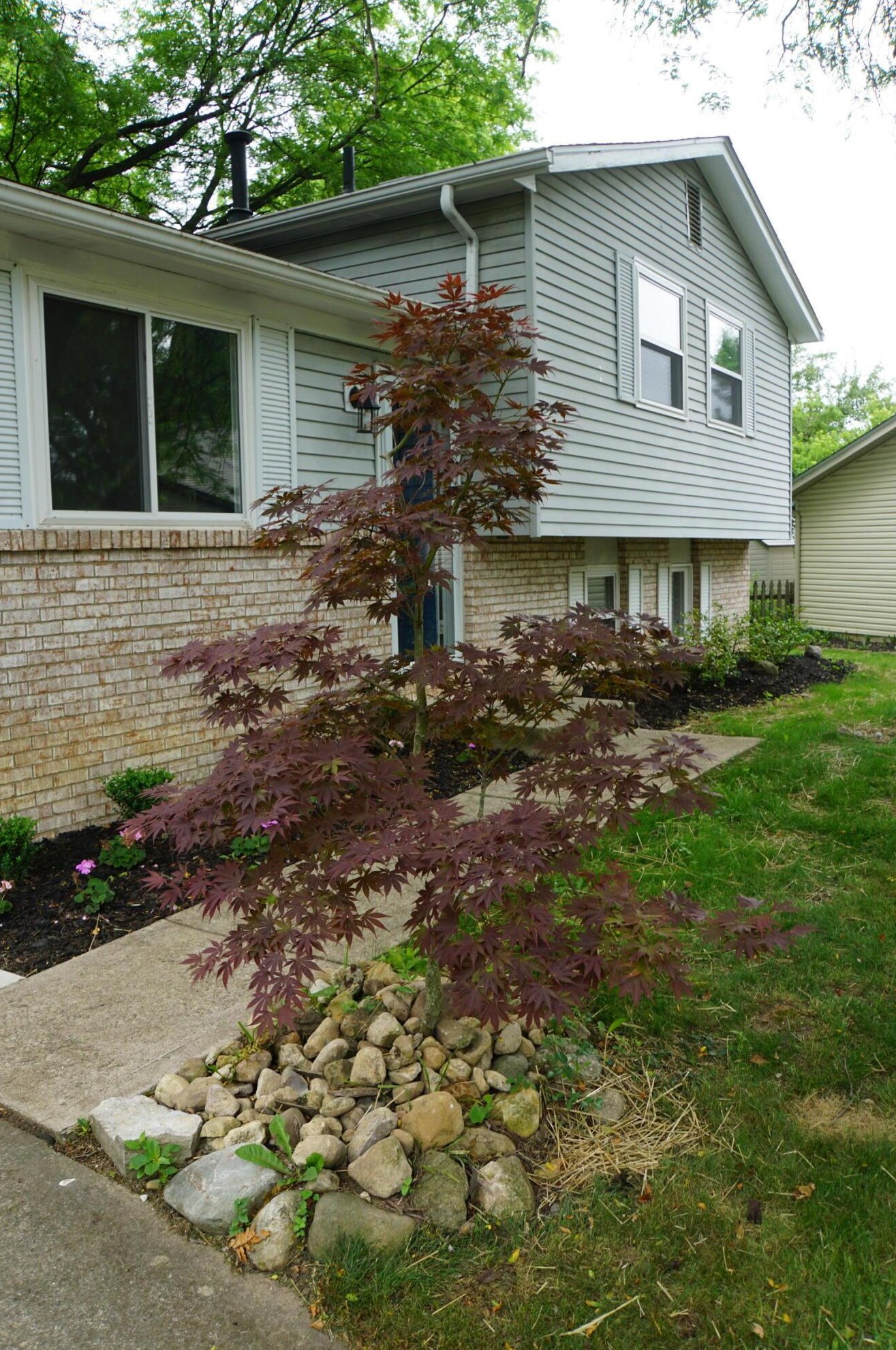 2055 Clayborn Ct, Columbus, OH 43235-2029