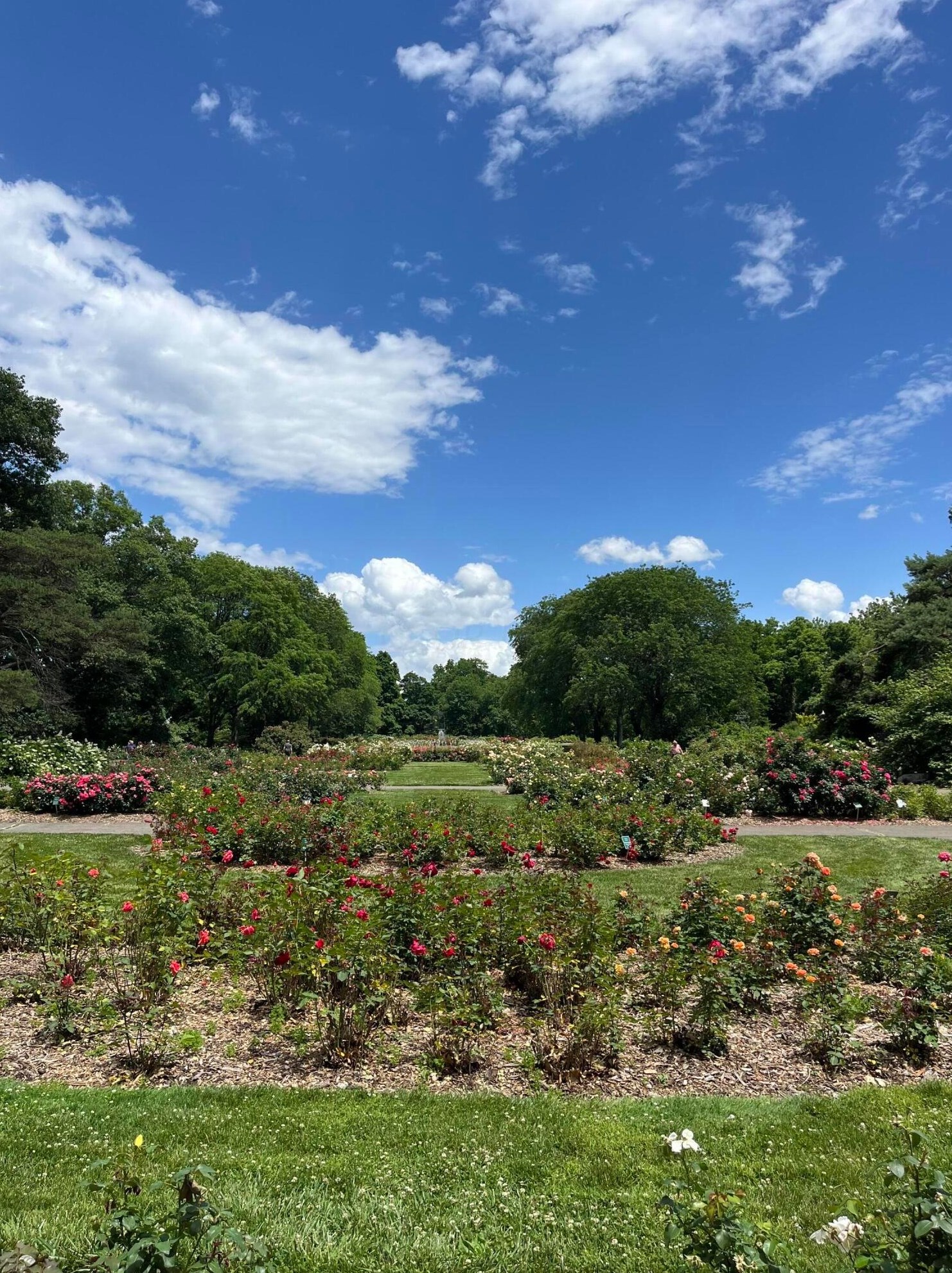 93 Torrence Rd, Columbus OH 43214-3821 exterior