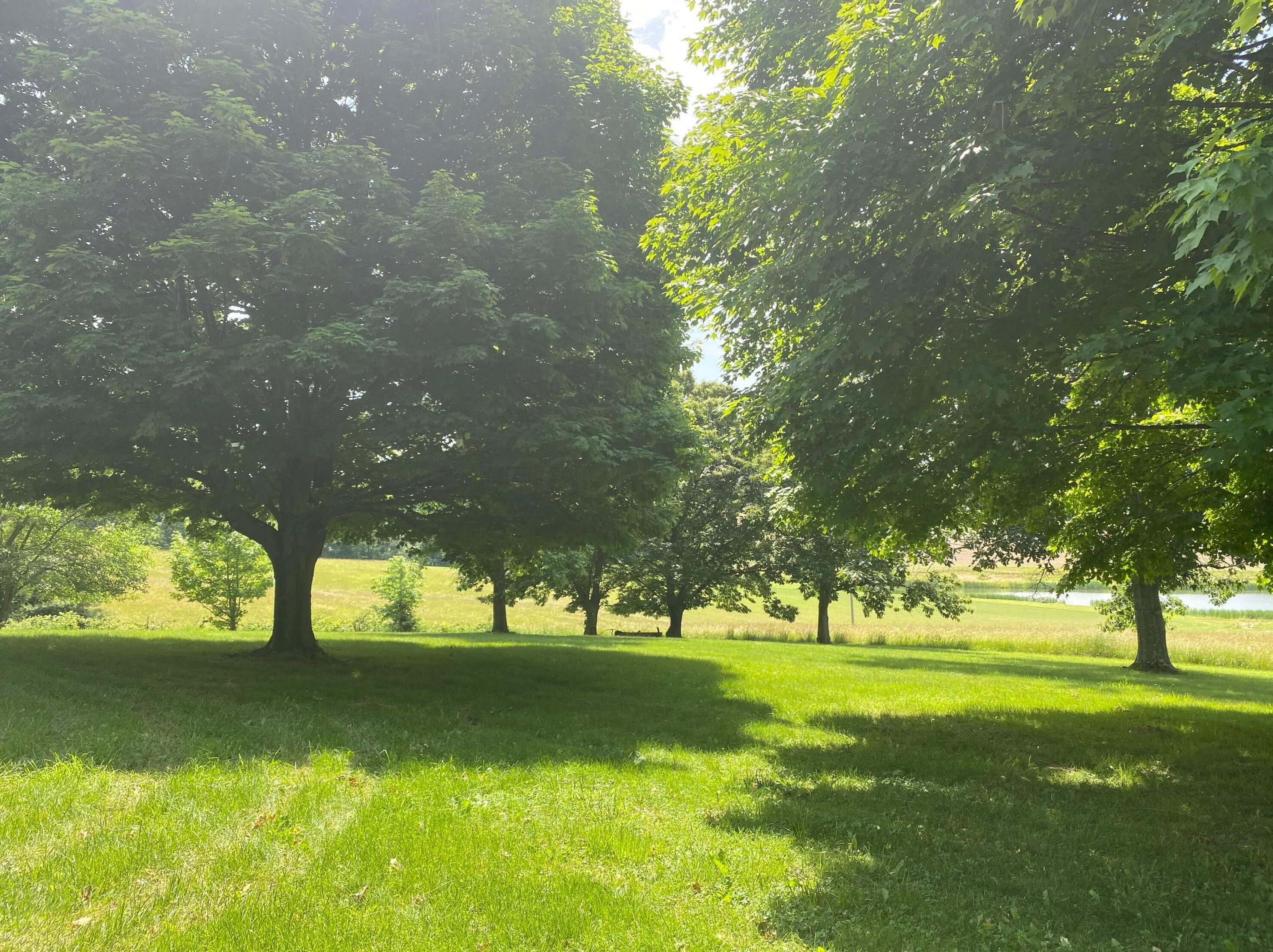 610 Mount Perry Rd, Mount Perry, OH 43760-9640