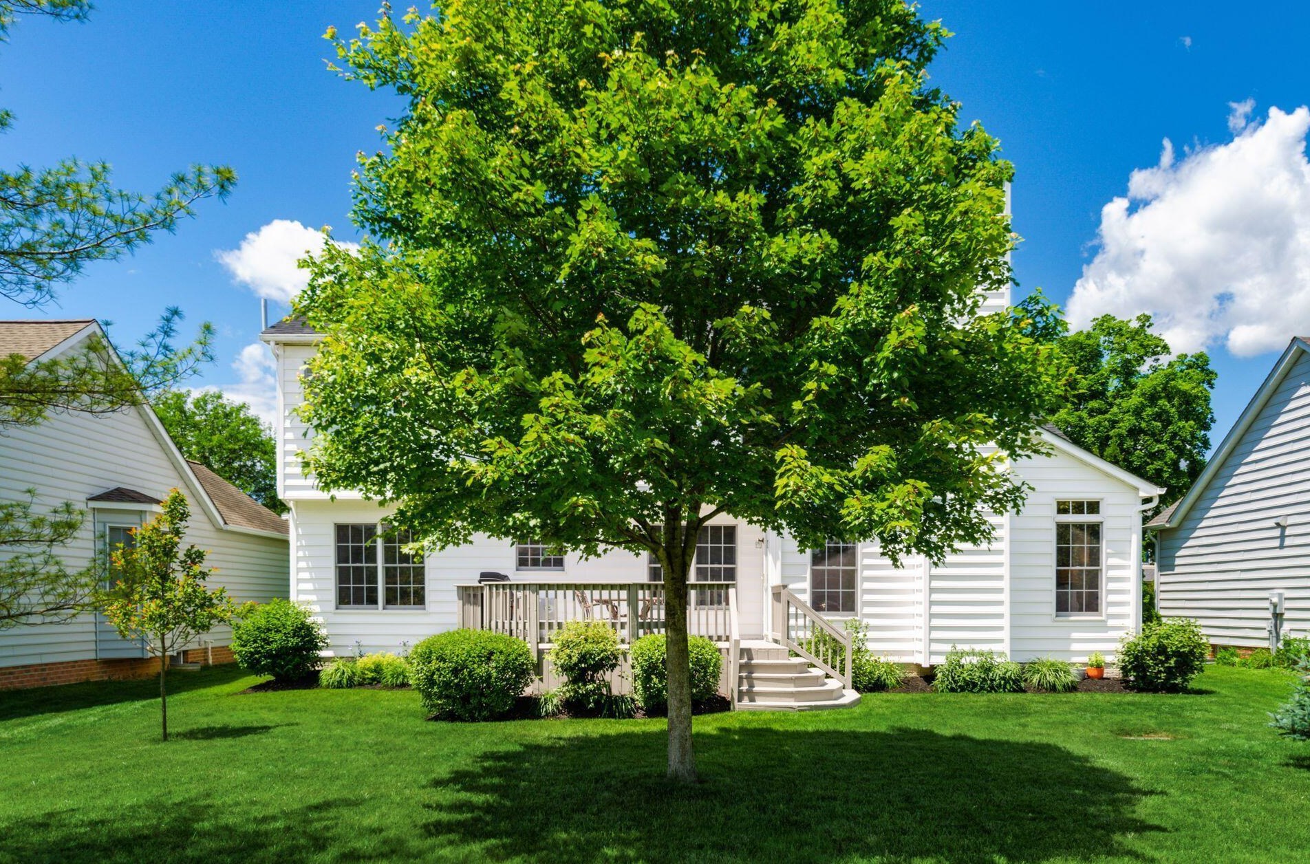 5910 Pne Wild Dr, Westerville OH  43082-9723 exterior