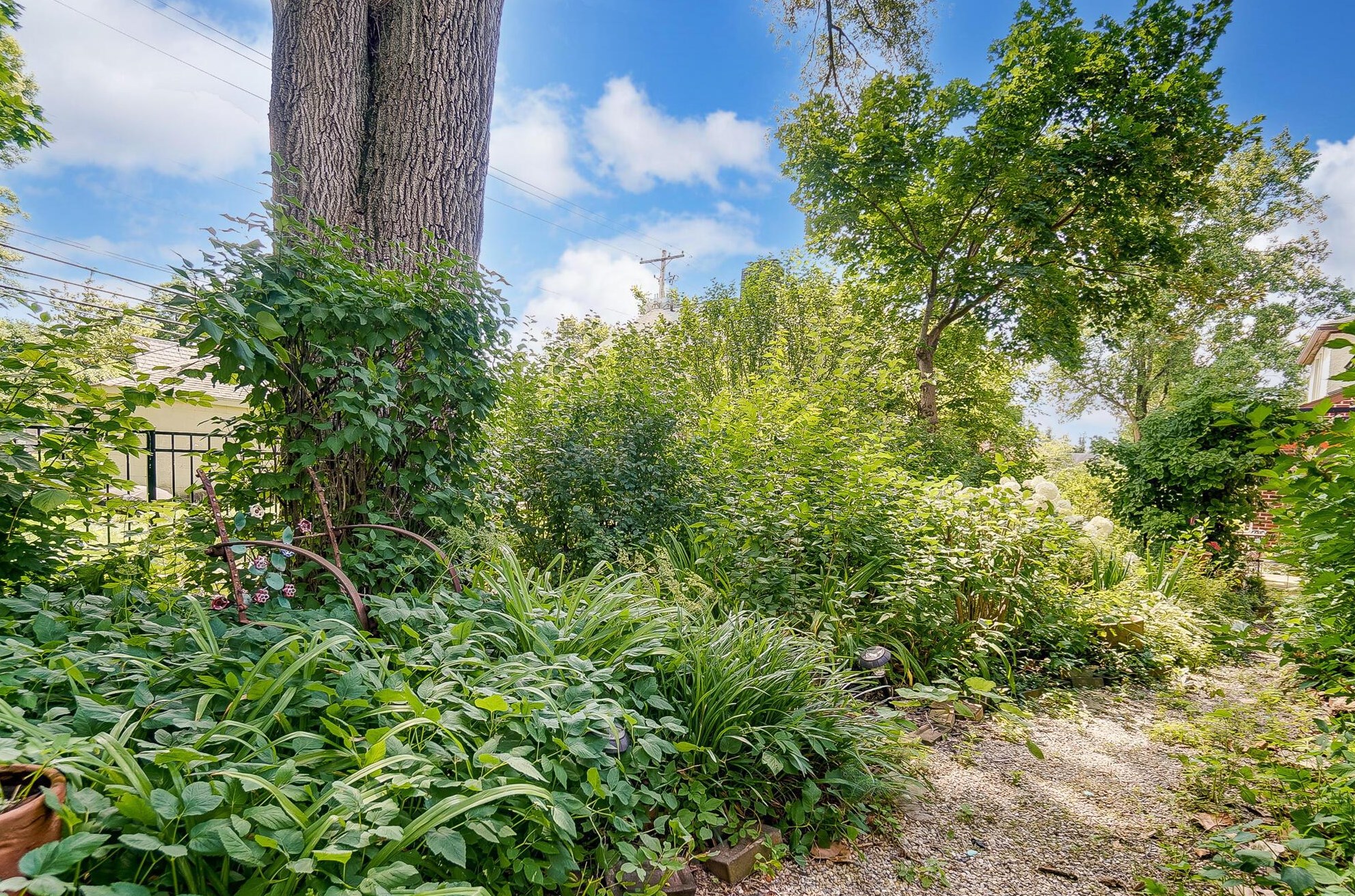 1496 Essex Rd, Columbus OH  43221-3845 exterior