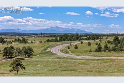 10542 Alamar Way, Colorado Springs, CO 80908 - Photo 12
