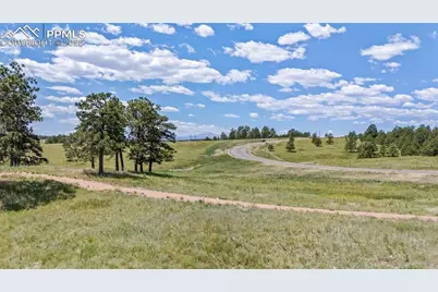 10542 Alamar Way, Colorado Springs, CO 80908 - Photo 6