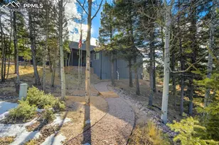 57 Cradle Lake Pl, Divide, CO 80814 - Photo 44