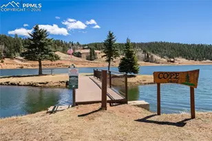 756 Spring Valley Dr, Divide, CO 80814 - Photo 38