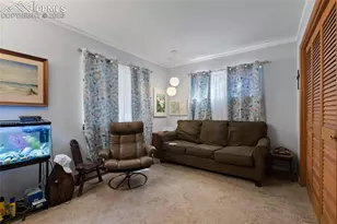 756 Spring Valley Dr, Divide, CO 80814 - Photo 20