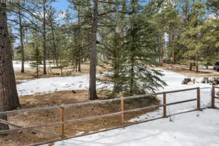 919 Matterhorn Dr, Florissant, CO 80816 - Photo 38