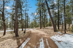 919 Matterhorn Dr, Florissant, CO 80816 - Photo 50