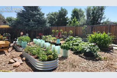 6815 Quarter Circle Road, Colorado Springs, CO 80922 - Photo 30