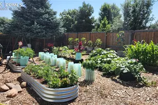 6815 Quarter Circle Rd, Colorado Springs, CO 80922 - Photo 30